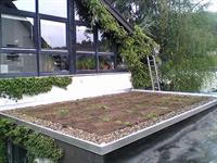 Begrünung eines Flachdachs als Beispiel für ökologisches Bauen